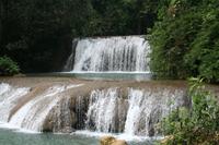 Black River, YS Falls and Appleton Rum Estate Day Trip from Negril