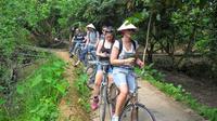 Mekong Rural Life 3-Day Tour with Homestay