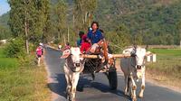 Nha Trang Countryside Club with Horse Carriage Full-Day Tour