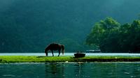 Overnight Ba Be National Park Tour from Hanoi