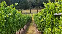 Cowichan Valley Wine Tour in Vancouver Island