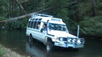 Wombat State Forest Nocturnal 4WD Tour from Melbourne