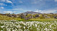 Day Trip to the Snæfellsnes Peninsula from Reykjavik - The Wonders of Snaefellsnes