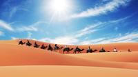 Merzouga Camel Trek pour une nuit dans le désert