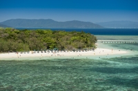 Excursion le temps du bord de mer de Cairns: Excursion d'Une journée à Green Island
