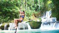 YS Falls and Appleton Rum Tour from Montego Bay