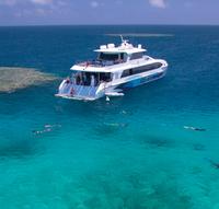 Croisière-plongée sur le récif extérieur de la Grande barrière de corail, au départ de Palm Cove