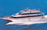 Croisière-plongée sur le récif extérieur de la Grande barrière de corail, au départ de Port Douglas