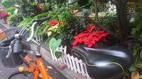 6 heures - iBike Tour: Ville Vélo et invité à Taichung