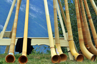 Visite du folklore de Lucerne