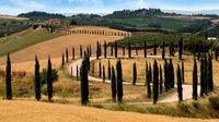 Demi-journée Tour de Montalcino et Crete Senesi de Sienne