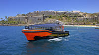 Whale and Dolphin Watching Tour in Gran Canaria