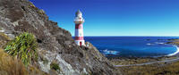 Tour door Palliser Bay en schitterende kustlocaties vanuit Wellington Tour door Palliser Bay en schitterende kustlocaties vanuit Wellington