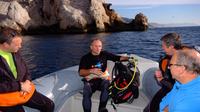 Full-Day Snorkeling and Guided Dive in the Calanques National Park from Marseille