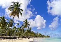 Cayo Paraiso Deserted Island Tour from Puerto Plata