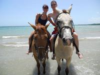 Horseback Riding on the Beach from Punta Cana