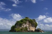 Los Haitises National Park Tour from Punta Cana
