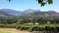 Cape of Good Hope and Cape Winelands Day Tour from Cape Town