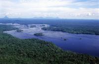 Amazon Rainforest Survival Tour from Manaus