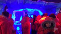 Argentinian Ice Bar, Wine and Dinner Experience image 1 Argentinian Ice Bar, Wine and Dinner Experience image 1