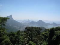 Excursão de jipe pela Floresta da Tijuca partindo do Rio de Janeiro