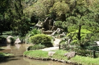 Excursão pelo Jardim Botânico no Rio de Janeiro