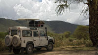 Excursion d'une journée complète en Jeep dans le Pernambouc au départ de Porto de Galinhas Excursion d'une journée complète en Jeep dans le Pernambouc au départ de Porto de Galinhas