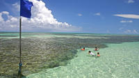 Full-Day Visit to Paripueira Beach and Tide Pools in Maceió