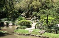 Rio de Janeiro Botanical Garden Tour