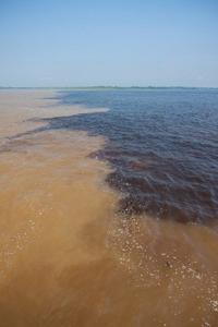 Rio Negro Cruise from Manaus to the Amazon River