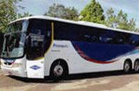 Salvador Airport Roundtrip Transfer image 1 Salvador Airport Roundtrip Transfer image 1