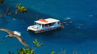 Sancho Bay Swim and Dolphin Watching from Fernando de Noronha