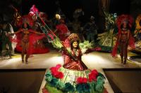 Spectacle Plataforma Samba à Rio de Janeiro
