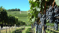 Vale dos Vinhedos Wine Tasting Tour image 1 Vale dos Vinhedos Wine Tasting Tour image 1