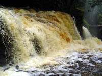 Viagem de um Dia para as Cachoeiras Presidente Figueiredo saindo de Manaus
