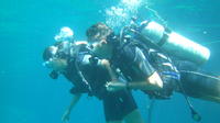 Learn to Scuba Dive in Las Terrenas
