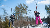 Billets Bigfoot Ziplines touristiques à Wisconsin Dells