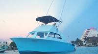 Mixed Trip Fish and Snorkel PRIVATE VIP TOUR 1 to 6 PEOPLE