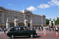 Visite privée: circuit de Londres en taxi, noir