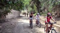 Full-Day Pachacamac Valley Mountain Biking from Lima