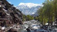 Full-Day Private Tour to Ourika Valley including Guided Trek and Lunch from Marrakech