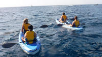 Imagen Recorrido guiado en kayak y almuerzo con paella en la playa en Valencia