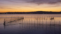 Valencian Rice Tour: Albufera Park  and Paella Experience