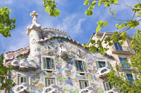 Billettes coupe-file: Billet pour la Casa Batlló de Gaudi with visite audioguidée