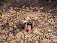 Cu Chi Tunnels Tour with Saigon River Speedboat Cruise from Ho Chi Minh City