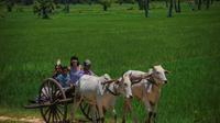 Siem Reap Local Life and Community Village Full-Day Tour