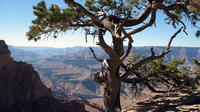 Grand-Comprehensive Canyon Day-Tour de Sedona