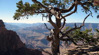 Grand Canyon Hike with Sedona and Flagstaff Hotel Pickup