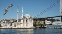 Hagia Sophia and Topkapi Palace Private Guided Tour From Istanbul 