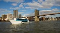 Lady Liberty Lunch Cruise